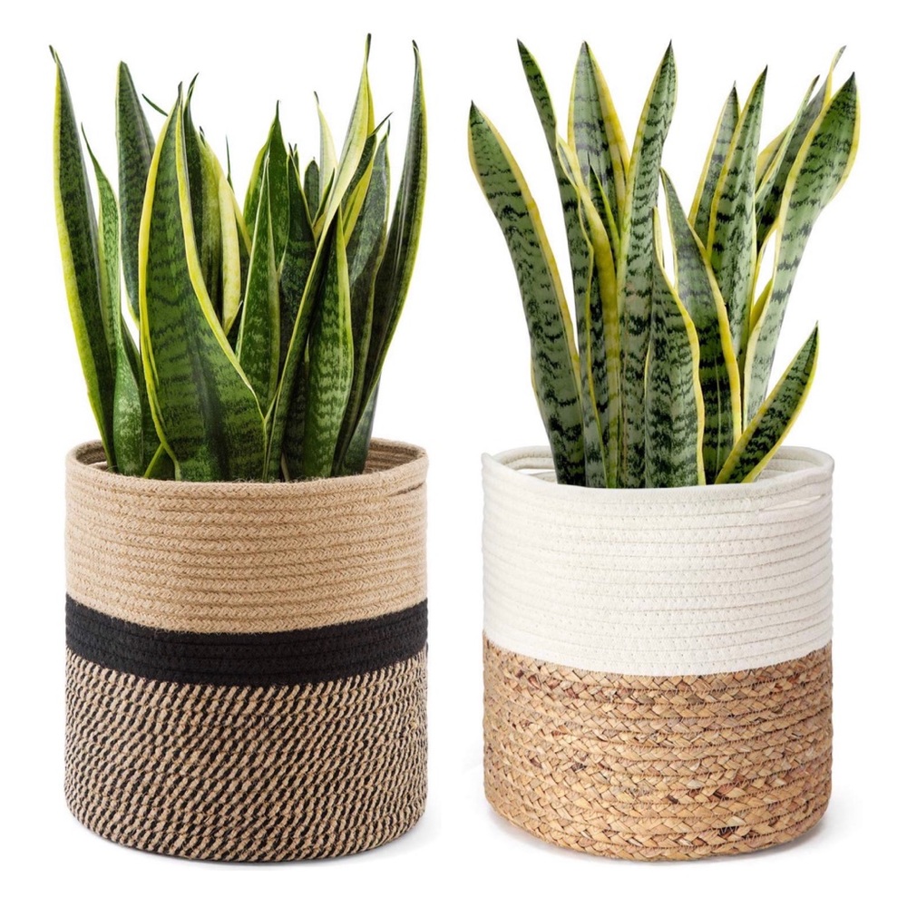 Boho rope woven basket plant tee natural tan white - Picture 7 of 8
